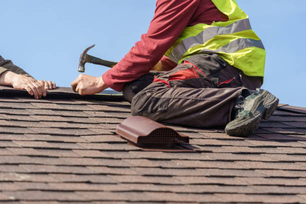 Best Roof Maintenance Services  in Forest Ranch, CA