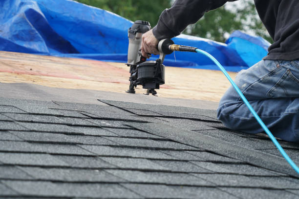 Best Roof Repair Services  in Forest Ranch, CA