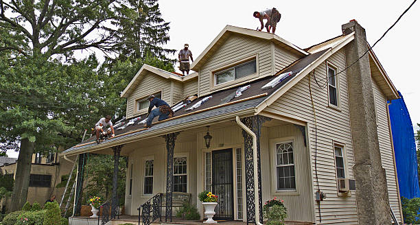 Best Flat Roof Repair Services  in Forest Ranch, CA