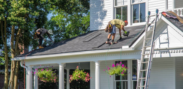 Best Gutter Installation and Roofing  in Forest Ranch, CA