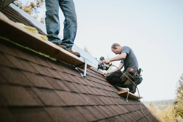 Best New Roof Installation  in Forest Ranch, CA