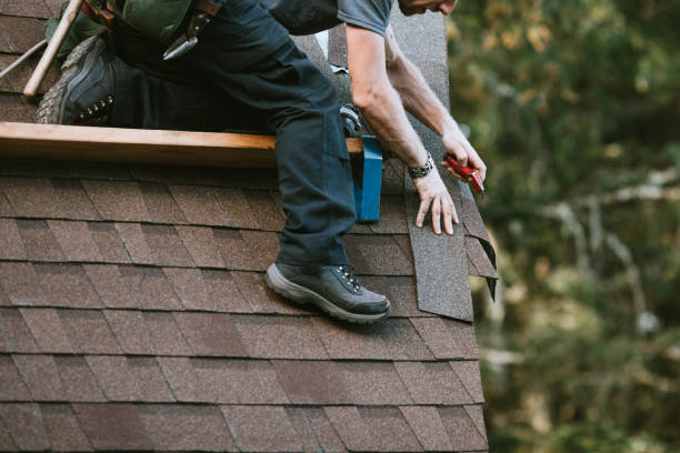 Best Storm Damage Roof Repair  in Forest Ranch, CA