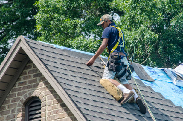 Best Emergency Roof Repair  in Forest Ranch, CA